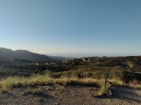 IMG_20210417_072044.jpg