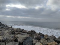 IMG_20210417_081416.jpg