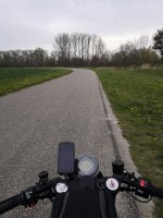IMG_20210428_124155.jpg