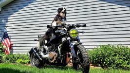 Hootie on Husky 2.jpg