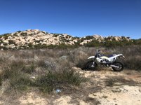 C0658FF7-F0A1-4C54-9651-D2901784D1E7.jpeg