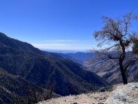 IMG_0286.jpeg