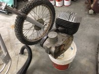 Husky1.jpg