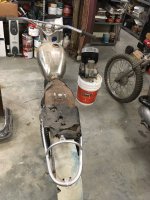 Husky5.jpg