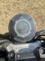 IMG_5969.jpeg