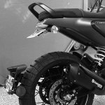 IMG_6127.jpeg