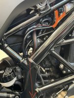 IMG_8108.jpeg