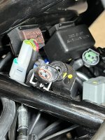 IMG_8217.jpeg
