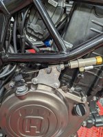 PXL_20240115_170343942.MP.jpg PXL_20240115_170343942.MP.jpg