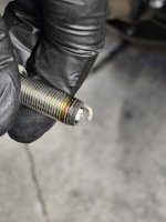 1000039282.jpg 1000039282.jpg