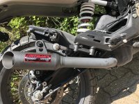 IMG_0403.jpeg