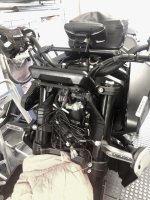 IMG_6608.jpeg