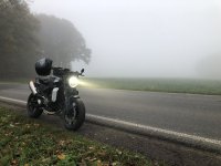 IMG_7607.jpeg