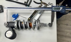 IMG_2516.jpeg IMG_2516.jpeg