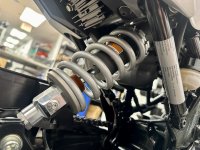 IMG_2521.jpeg IMG_2521.jpeg