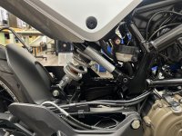 IMG_2519.jpeg IMG_2519.jpeg