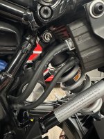 IMG_2518.jpeg IMG_2518.jpeg