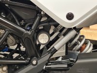 IMG_2543.jpeg IMG_2543.jpeg