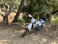 IMG_0010.jpeg