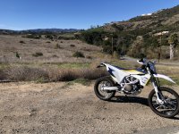 IMG_3372.jpeg