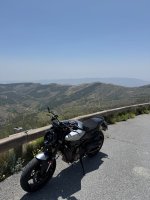 IMG_2951.jpeg