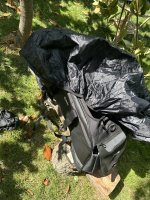 IMG_9288.jpeg