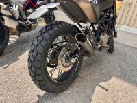 IMG_0268.jpeg IMG_0268.jpeg