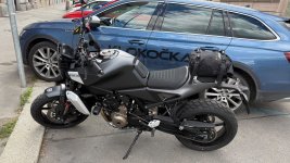 IMG_6867.jpeg