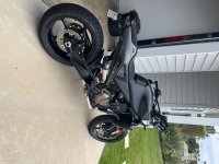 IMG_2822.jpeg