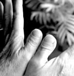 thumbs_2.jpg thumbs_2.jpg