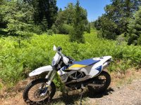IMG_1984.jpeg