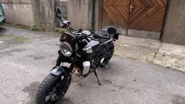 IMG_8997.jpeg IMG_8997.jpeg