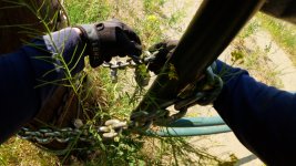 LL to Ashcroft_Final Edit Dec 4.00_11_25_20.Still028.jpg