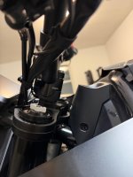 IMG_6199.jpeg