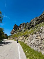 IMG_3487.jpeg