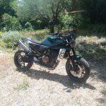 801verte.jpg