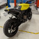 tail-tidy-1.jpg