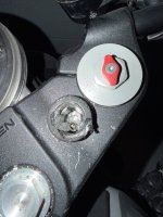 IMG_2664.jpeg