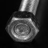 tooth_dr
